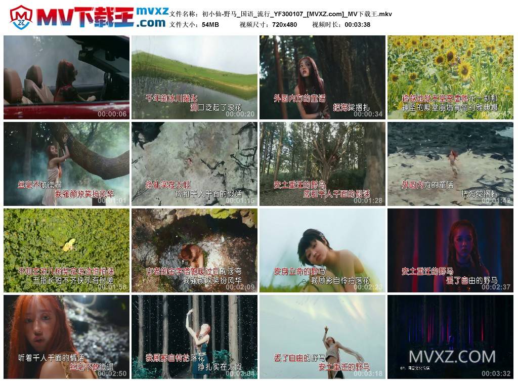 初小仙-野马_国语_流行_YF300107
